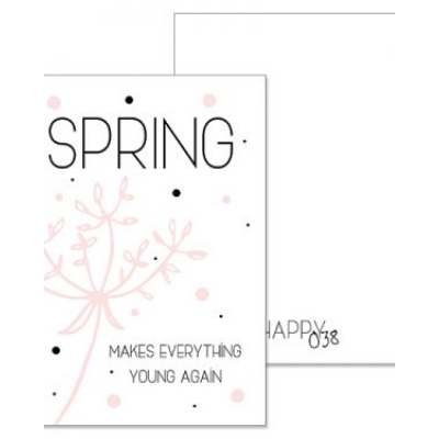 A5 kaart Spring